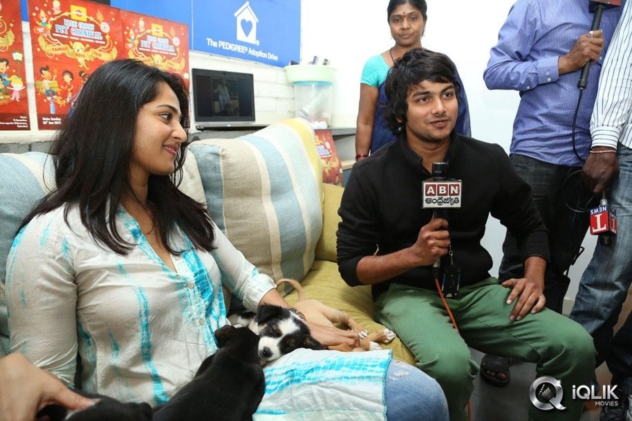 Anushka-at-Blue-Cross-Pet-Carnival-2014